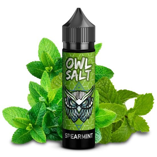 Owl Salt - Longfill Aroma - 10ml - Spearmint