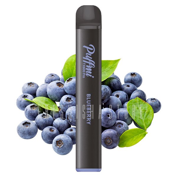 Einweg E-Zigaretten Bundle - Blueberry - 5x Sorten