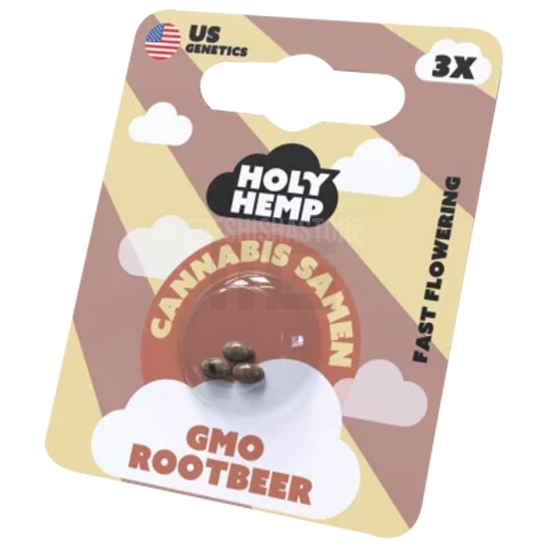 Holy Hemp - GMO Rootbeer - 3 Samen