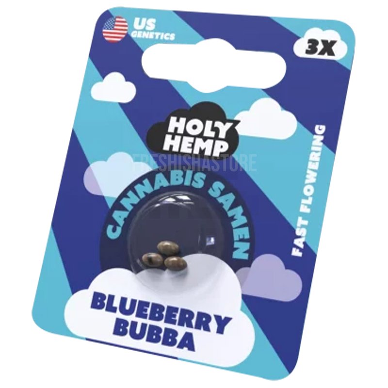 Holy Hemp - Blueberry Bubba - 3 Samen