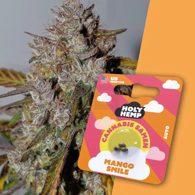 Holy Hemp - Mango Smile - 3 Samen