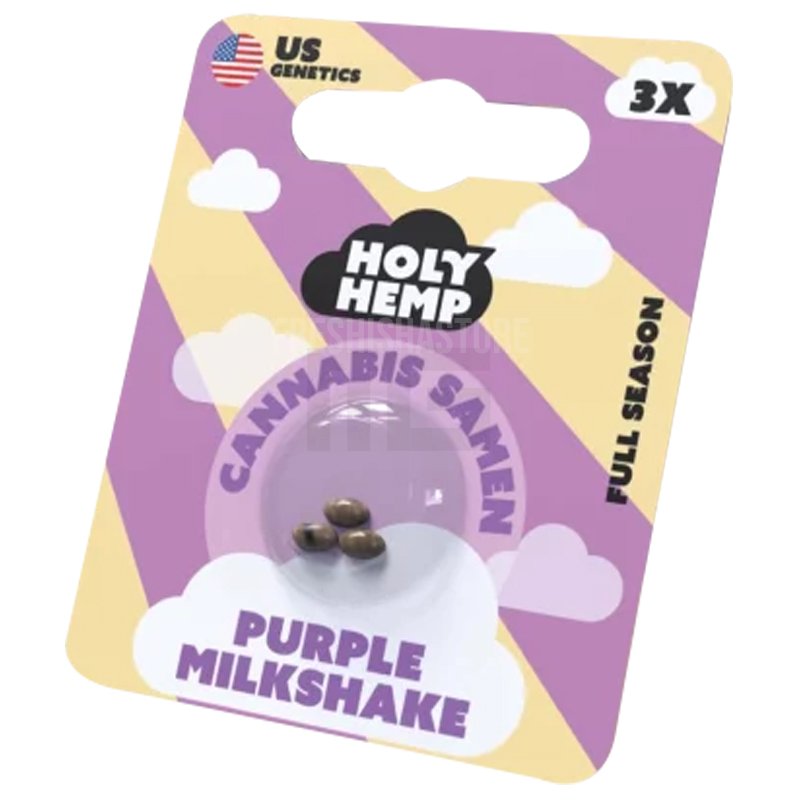 Holy Hemp - Purple Milkshake - 3 Samen