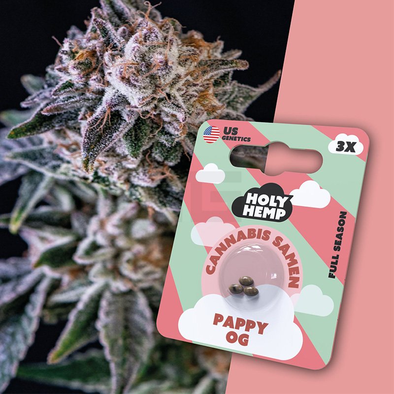 Holy Hemp - Pappy OG - 3 Samen