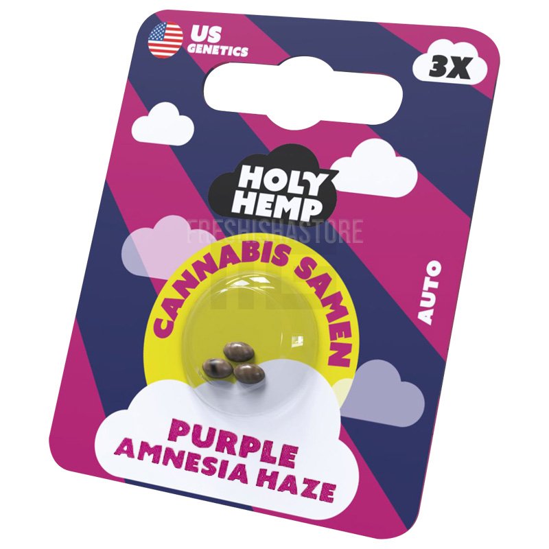 Holy Hemp - Purple Amnesia - 3 Samen
