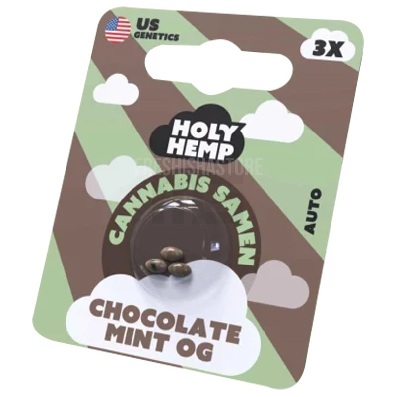 Holy Hemp - Chocolate Mint OG - 3 Samen
