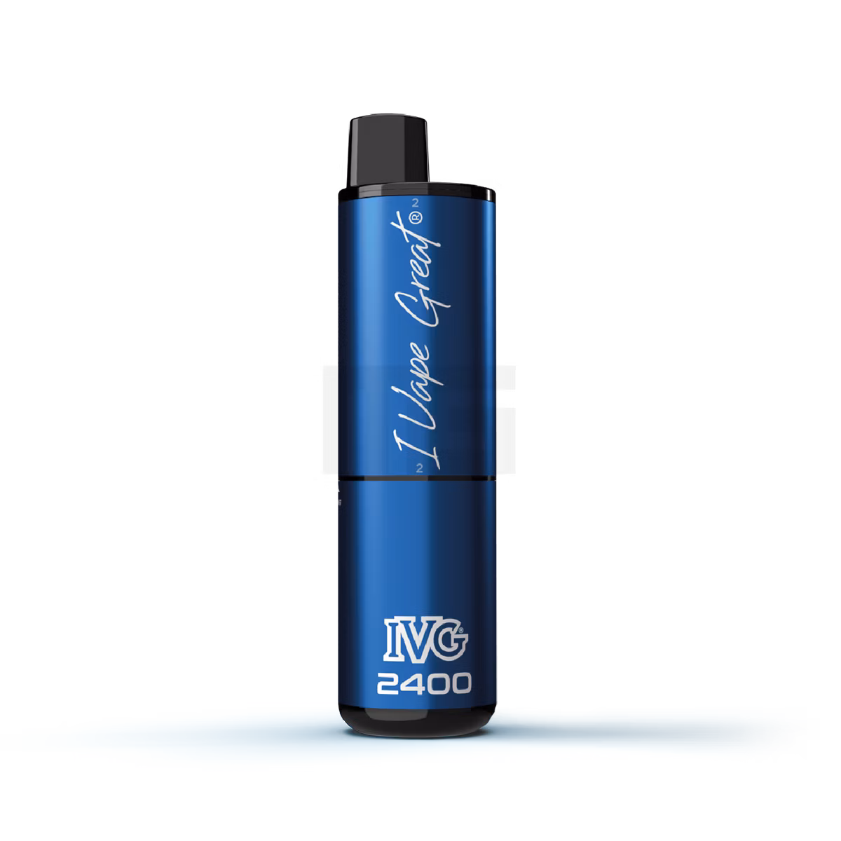 IVG - 2400 - Basisgerät - Blue IVG - 2400 - Basisgerät - Blue