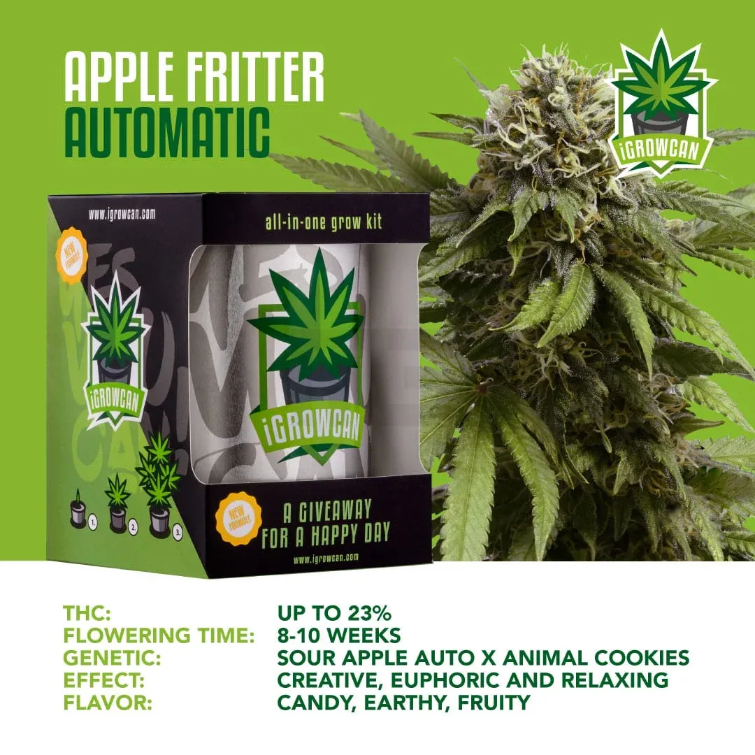 iGrowCan - Automatic - Apple Fritter