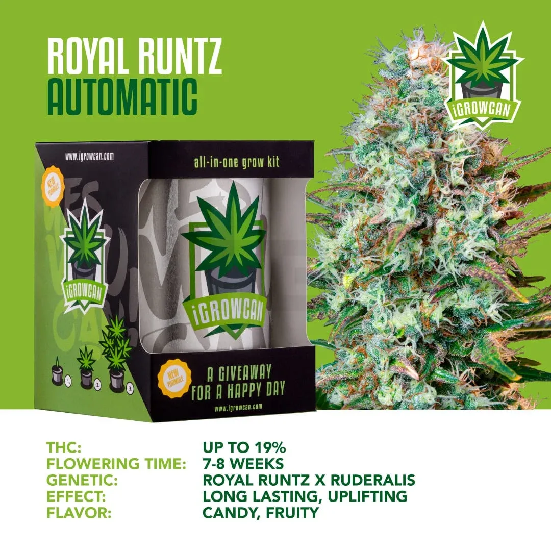 iGrowCan - Automatic - Royal Runtz