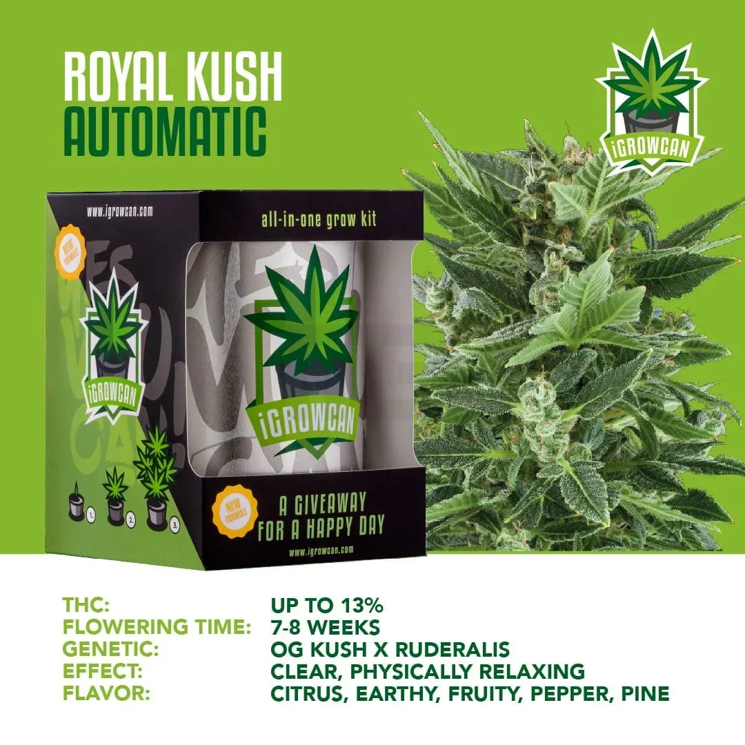 iGrowCan - Automatic - Royal Kush