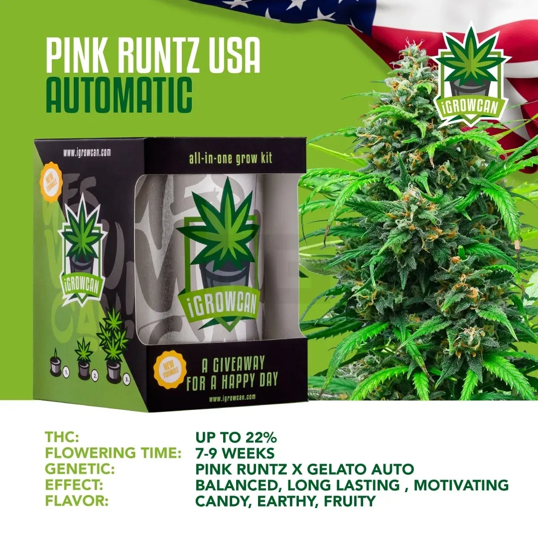iGrowCan - Automatic - Pink Runtz USA