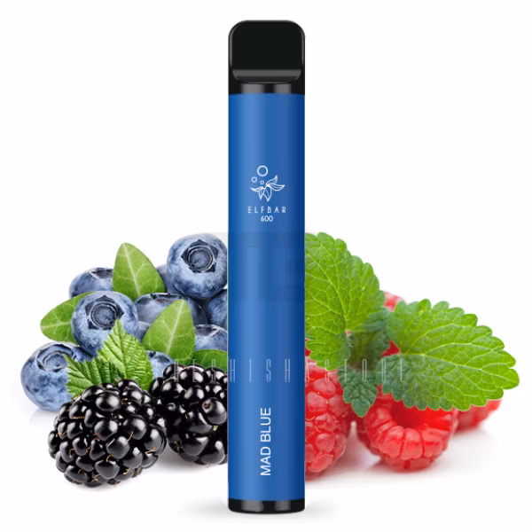 Elf Bar 600 Einweg E-Zigarette - Mad Blue