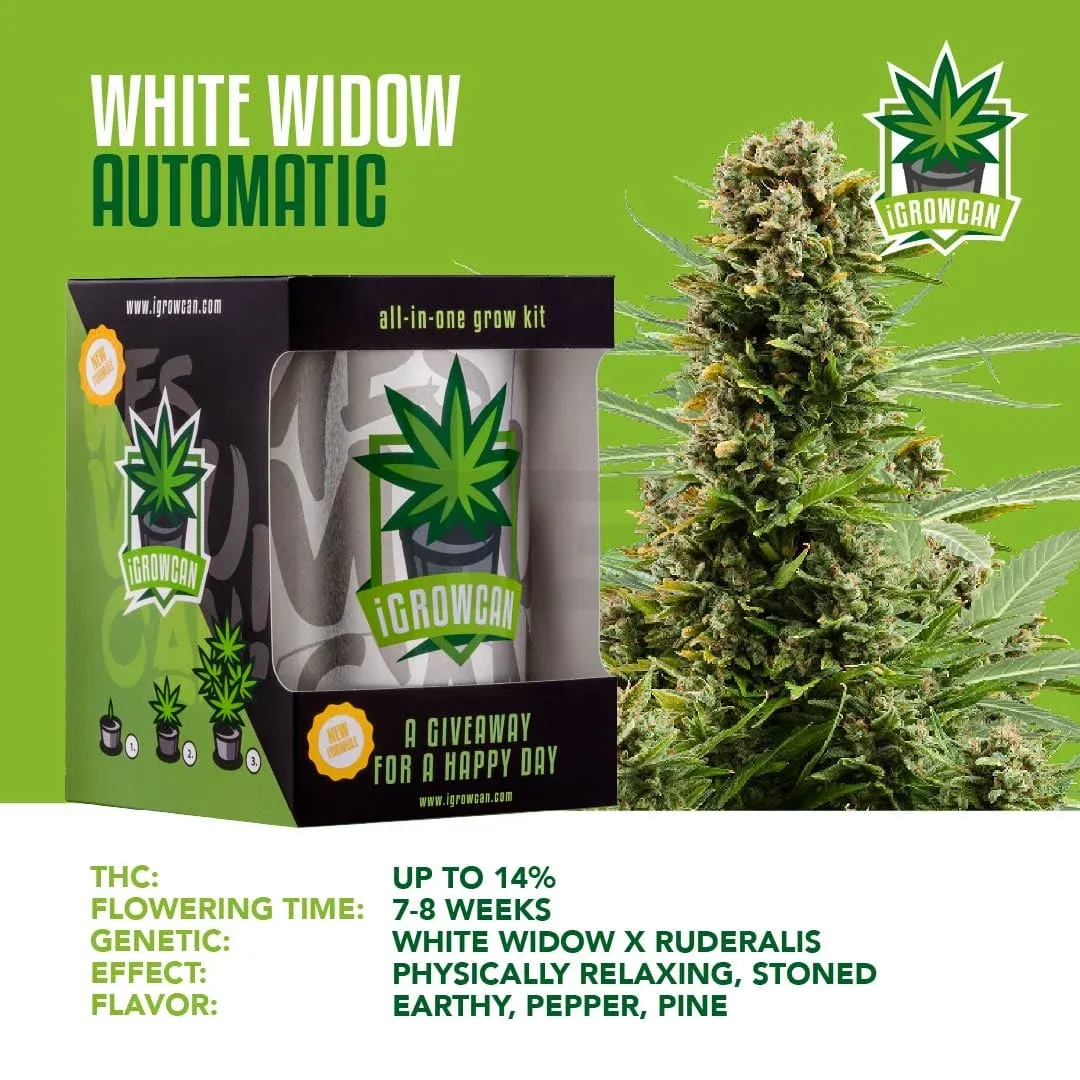 iGrowCan - Automatic - White Widow