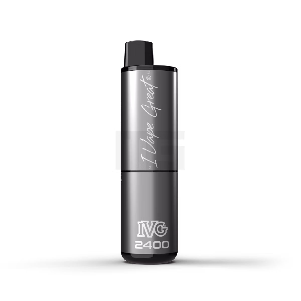 IVG - 2400 - Basisgerät - Silver IVG - 2400 - Basisgerät - Silver