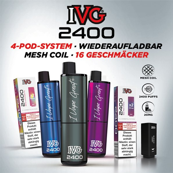 IVG - 2400 - Basisgerät - Silver IVG - 2400 - Basisgerät - Silver