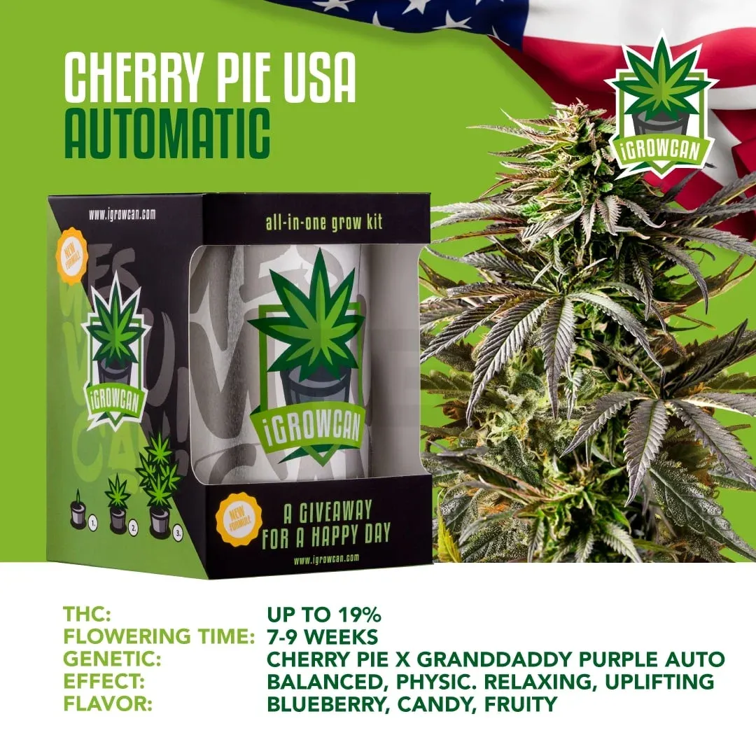 iGrowCan - Automatic - Cherry Pie USA