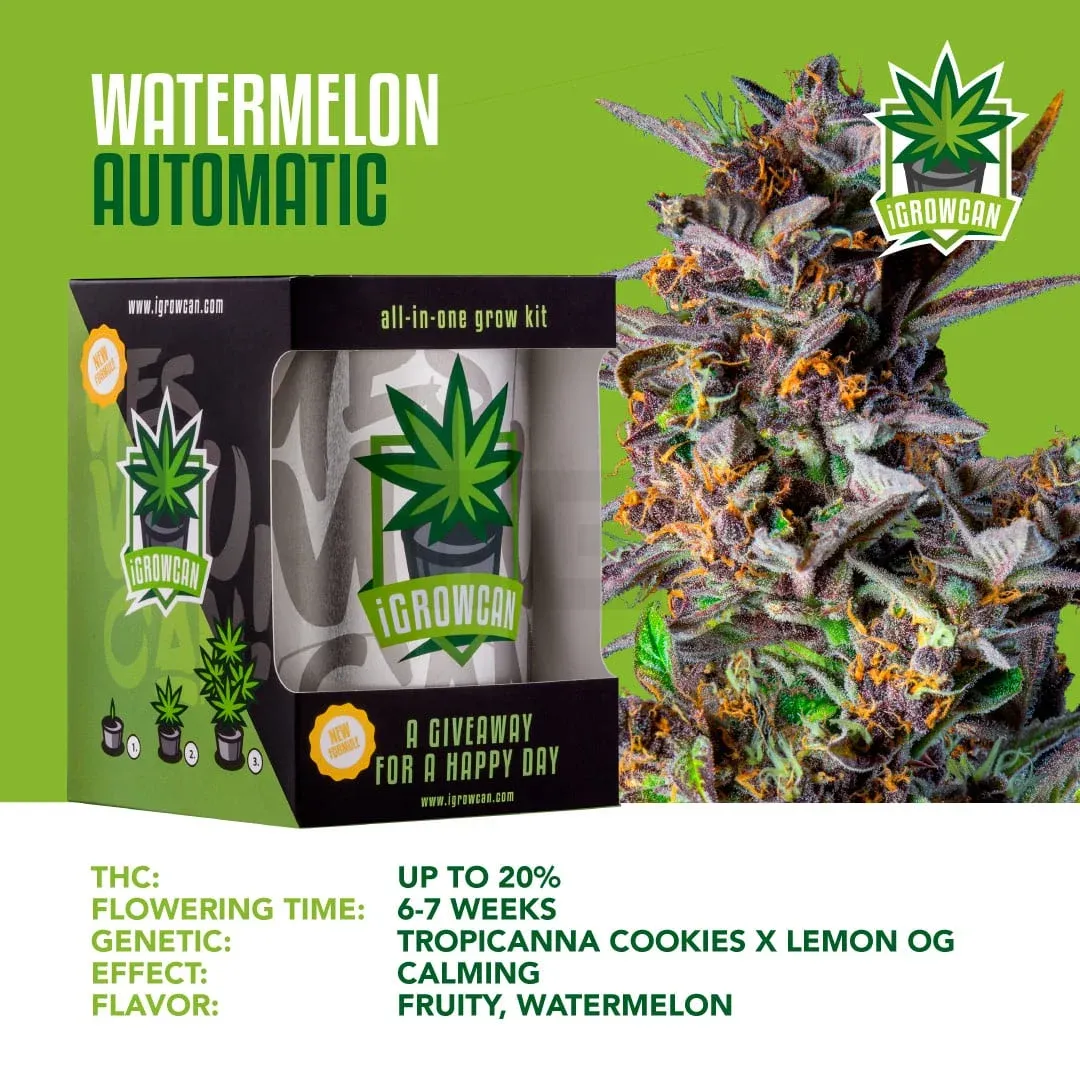 iGrowCan - Automatic - Watermelon