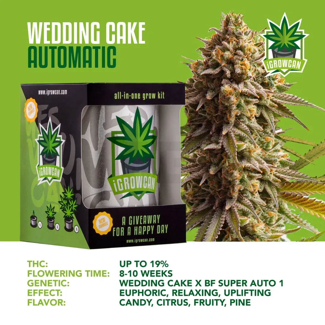iGrowCan - Automatic - Wedding Cake