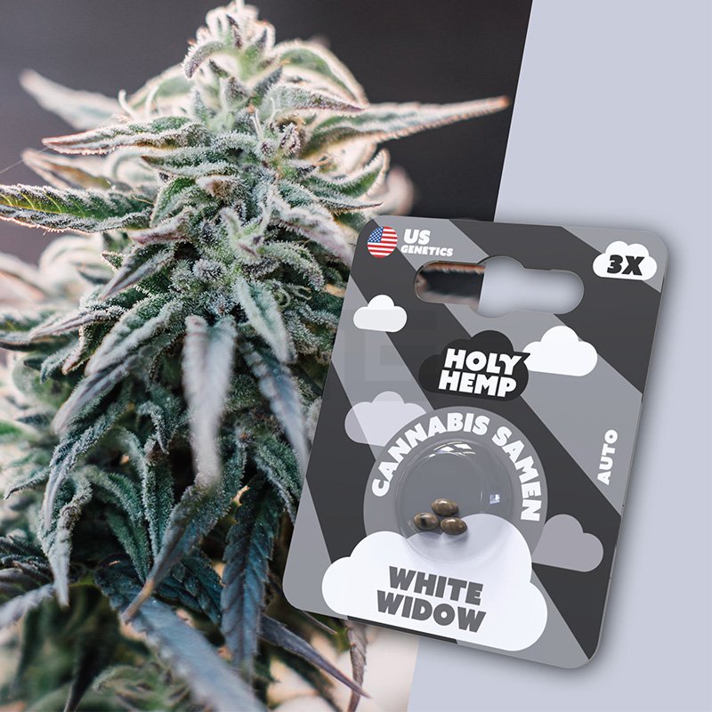 Holy Hemp - White Widow - 3 Samen