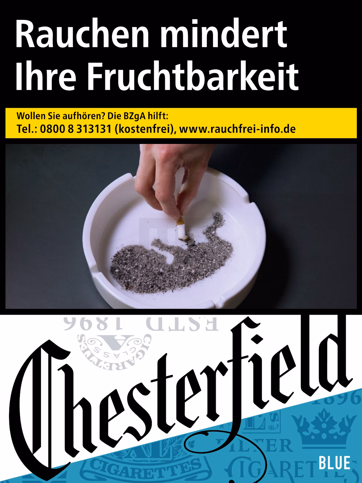 Chesterfield - Blue - XL - TT B2B