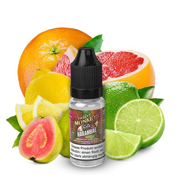twelve-monkeys-harambae-nikotinsalzliquid-10ml twelve-monkeys-harambae-nikotinsalzliquid-10ml