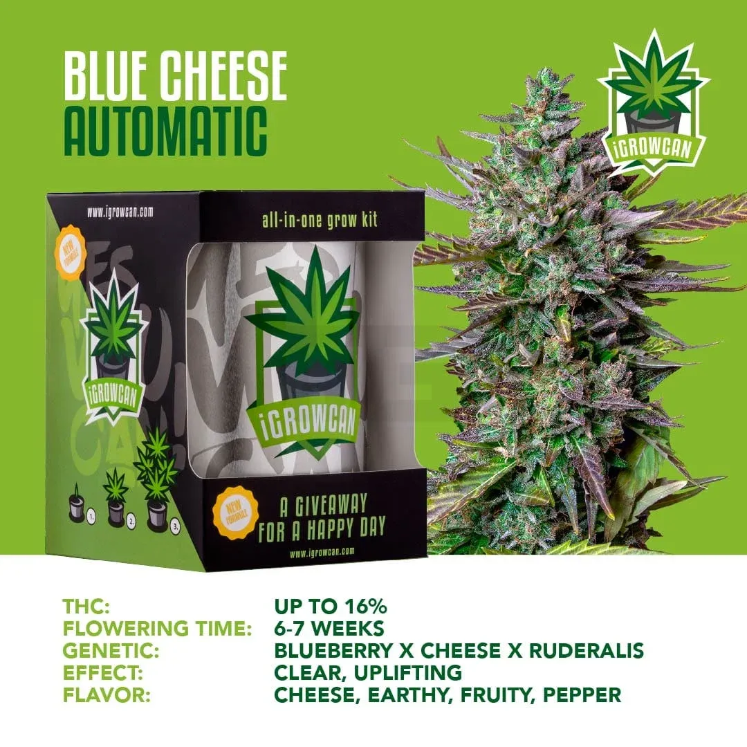 iGrowCan - Automatic - Blue Cheese
