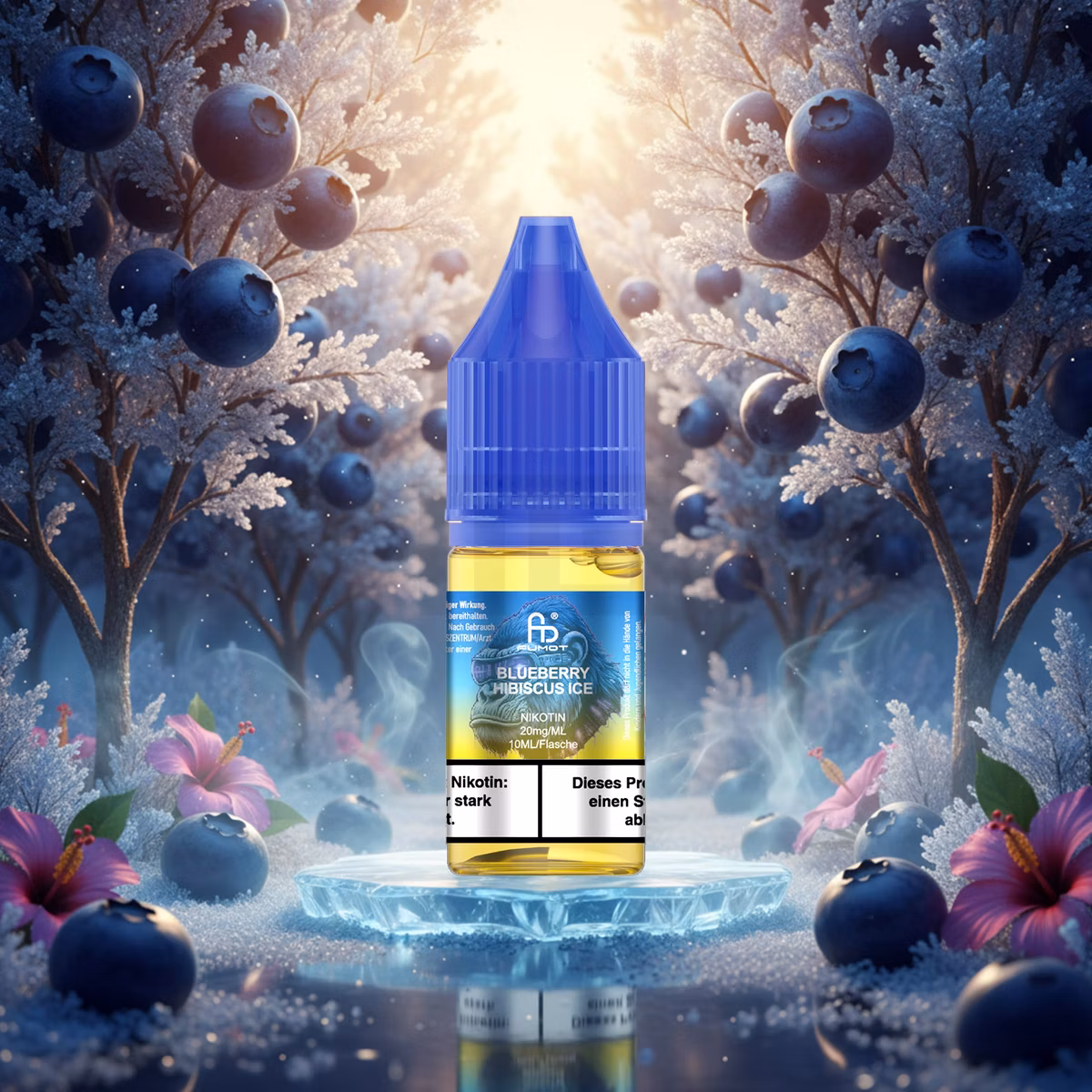 RandM - Tornado - Nikotinsalz-Liquid - 10ml - Blueberry Hibiscus Ice 20mg