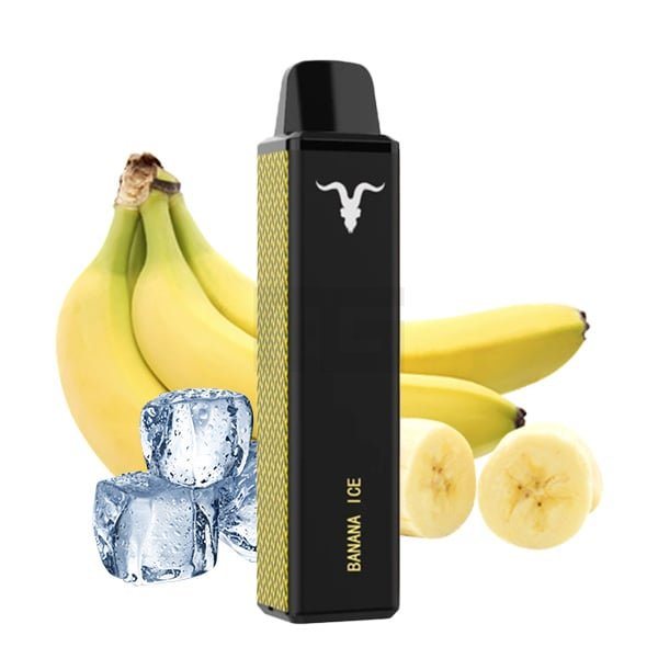 elfbar elfa master akku Einweg E-Shisha IGNITE V600 Mango Ice 20mg online kaufen