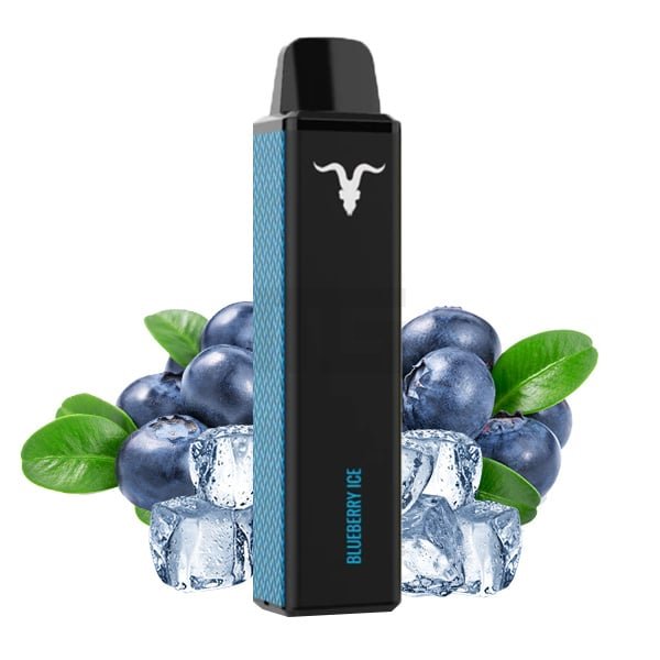 elfbar elfa master akku Elf Bar 600 - Blueberry 20mg Einweg E-Zigarette kaufen? main image 0