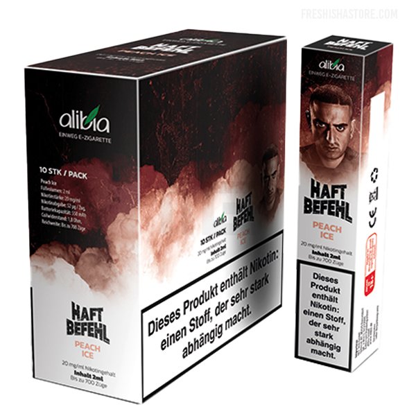 elfbar elfa master akku Alibia Haftbefehl main image 1