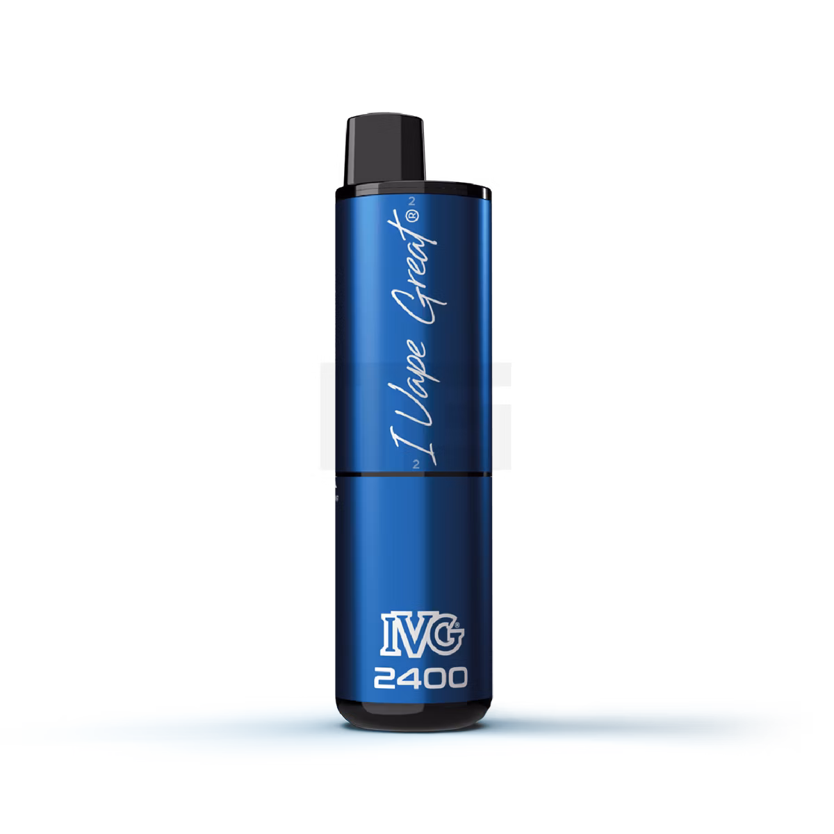 IVG - 2400 - Basisgerät - Blue IVG - 2400 - Basisgerät - Blue