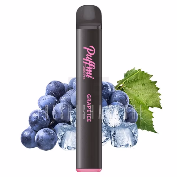 puffmi-tx600-pro-grape-ice-einweg-vape-3 Einweg E-Zigaretten Bundle - Grape - 5x Sorten
